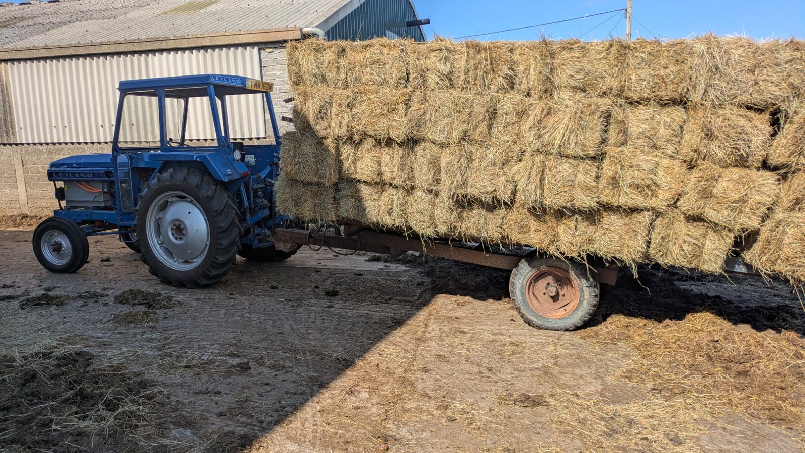 Leyland 255 hauling hay bales