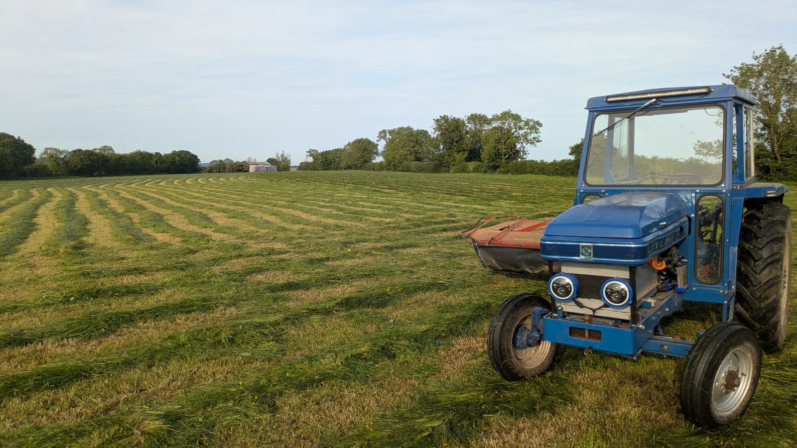 Leyland 255 in a freshly mown field