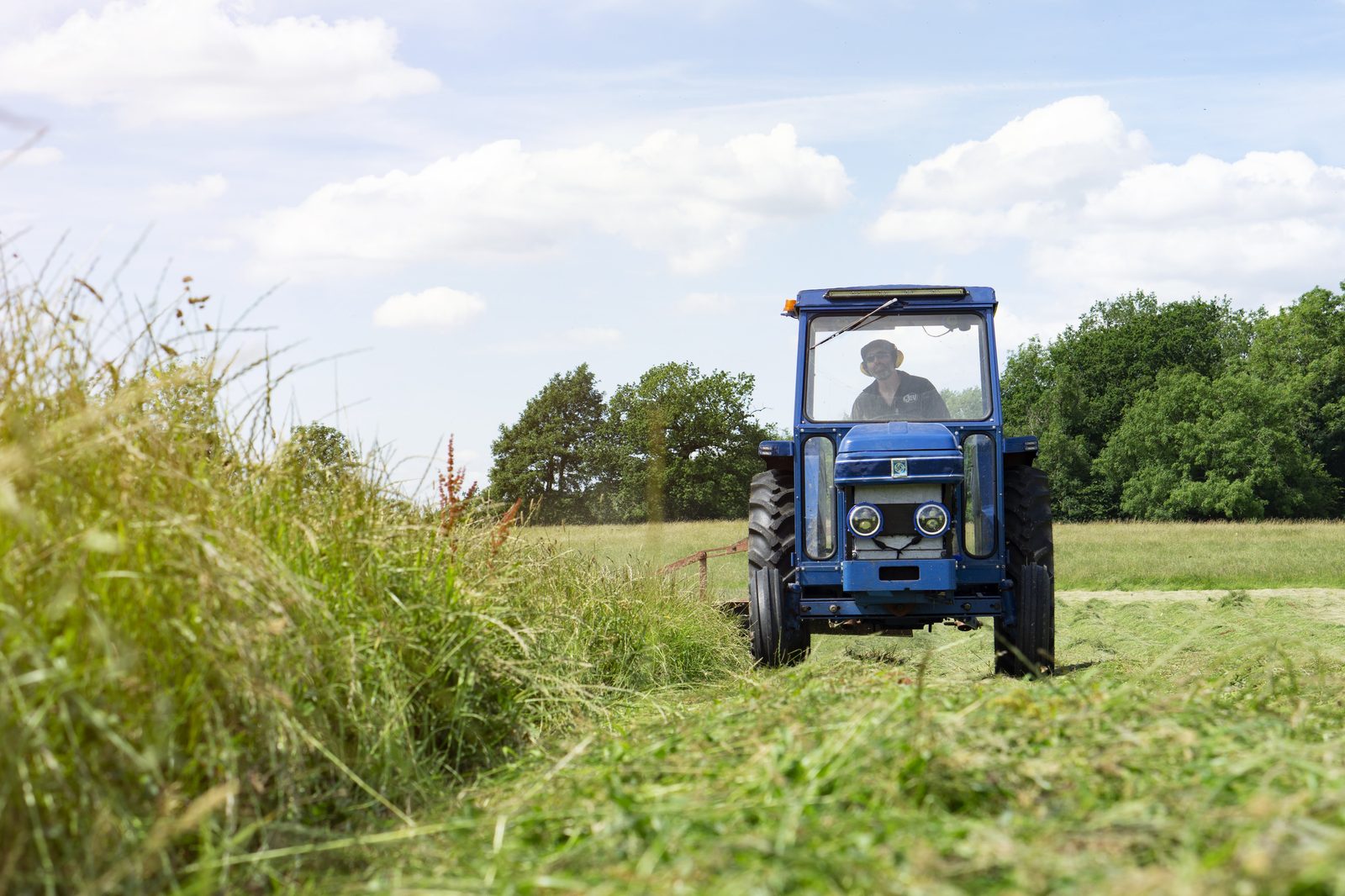 Leyland 255 mowing through tall grass